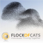 flockofcats website ulverston andy james
